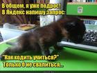 https://lolkot.ru/2017/04/12/poshagovaya-instruktsiya/