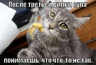 https://lolkot.ru/2012/04/30/posle-tretey-vilki/