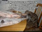 https://lolkot.ru/2013/04/30/poslednim-ostavshimsya/