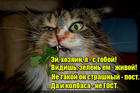 https://lolkot.ru/2016/03/27/postnyy-i-zelenyy/