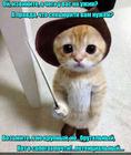 https://lolkot.ru/2017/07/05/potentsialnyye-perspektivy/
