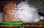 https://lolkot.ru/2015/04/04/poterpi/