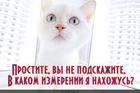 https://lolkot.ru/2013/10/06/poteryashkin/