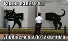 https://lolkot.ru/2012/03/23/potihu-mimo/