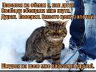 https://lolkot.ru/2014/12/02/povelsya/