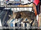 https://lolkot.ru/2011/05/12/povesitsya-ostayetsya/