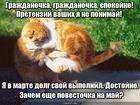 https://lolkot.ru/2016/04/26/povestka-na-may/