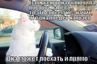 https://lolkot.ru/2012/03/23/povorot-nalevo/
