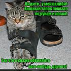 https://lolkot.ru/2016/05/18/povyazannyy/