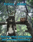 https://lolkot.ru/2012/03/21/povyluplyalis/