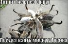 https://lolkot.ru/2012/11/27/poydyot-vzyat/