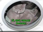 https://lolkot.ru/2015/05/23/poyehali-8/