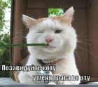 https://lolkot.ru/2011/03/28/pozaviduyte-kotu/