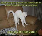 https://lolkot.ru/2010/07/05/pozdno-krichat/