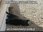https://lolkot.ru/2011/11/30/pravila-suschestvuyut/