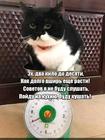 https://lolkot.ru/2024/10/04/pravilnoye-resheniye/