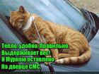 https://lolkot.ru/2017/05/18/pravilnyy-dizayn/