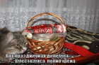 https://lolkot.ru/2011/04/26/prazdnichnaya-dilemma/