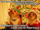https://lolkot.ru/2012/12/29/prazdnik/