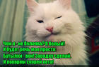 https://lolkot.ru/2017/01/16/prazdniki-proshli/