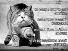 https://lolkot.ru/2013/08/23/predmet-dlya-gordosti/