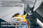 https://lolkot.ru/2013/06/30/prestupleniye-i-nakazaniye-2/