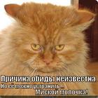 https://lolkot.ru/2013/11/06/prichina-moloka/