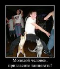 https://lolkot.ru/2012/08/09/priglasite-tantsevat/