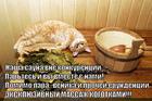 https://lolkot.ru/2014/07/24/prihodite-v-nashu-saunu-ne-pozhaleyete/
