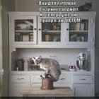 https://lolkot.ru/2014/03/15/prihvatiziroval/