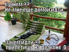 https://lolkot.ru/2012/05/24/priletish-na-drakone/