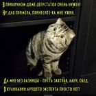 https://lolkot.ru/2018/02/09/prilichnyy-degustator/