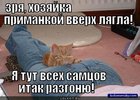 https://lolkot.ru/2011/03/19/primankoy-vverh/