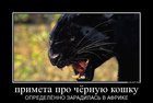 https://lolkot.ru/2012/07/15/primeta/