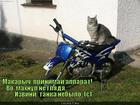 https://lolkot.ru/2011/04/07/prinimay-apparat/