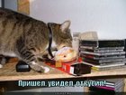 https://lolkot.ru/2011/04/17/prishel-uvidel-otkusil/