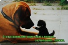 https://lolkot.ru/2011/12/01/pristavat-nelzya/