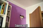 https://lolkot.ru/2015/03/27/privet-10/