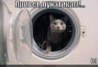 https://lolkot.ru/2012/11/28/privet-lunatikam-s/