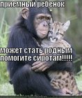 https://lolkot.ru/2010/10/03/priyemnyy-rebenok/
