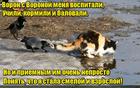 https://lolkot.ru/2016/07/01/priyomysh/