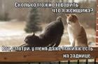 https://lolkot.ru/2013/06/30/priznak-istinnoy-zhenschiny/