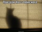 https://lolkot.ru/2010/12/28/prizrak-kote/