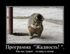 https://lolkot.ru/2011/11/27/programma-zhadnost/