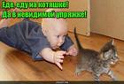 https://lolkot.ru/2017/01/26/progulki-na-kotyashke/