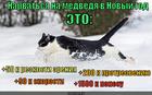 https://lolkot.ru/2013/12/10/prokachay-svoi-vozmozhnosti/
