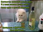https://lolkot.ru/2016/03/31/proschay-mart-privet-martini/