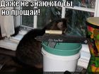 https://lolkot.ru/2011/04/20/proschay/