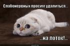 https://lolkot.ru/2013/01/25/prosim-udalitsya/