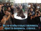 https://lolkot.ru/2012/08/28/prosto-piaryus/